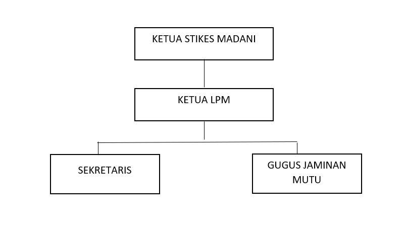 Struktur Organisasi Lpm Stikes Madani